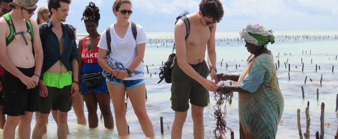 Photo of people in the shallows of a shoreline, with sea weed crop